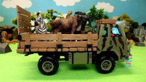 Wild Animals Toys in the Jungle - Fun Learning Animals Names For Kids
