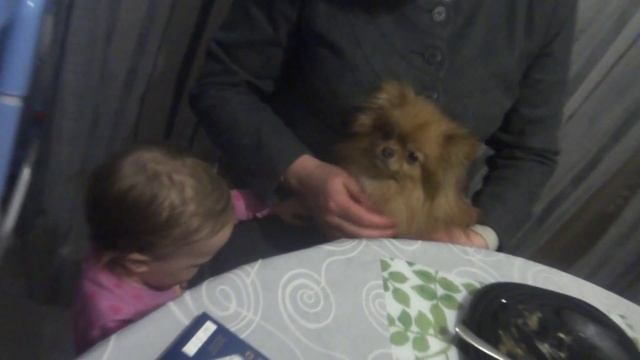 Нельзя на Любу ругаться или Как дети копируют своих родителей смотреть онлайн