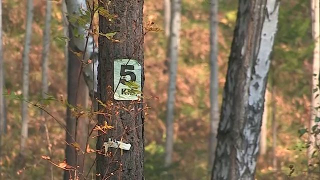 Сегодня на правом берегу Кана начали прокладывать линию освещения смотреть онлайн