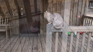 #базаотдыха Янтарный берег Ленинградская обл.