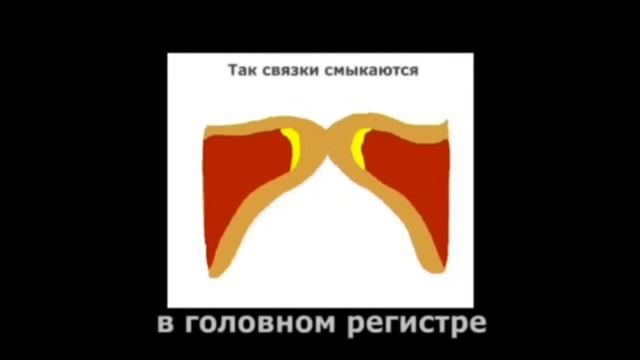 Смыкание голосвых связок смотреть онлайн