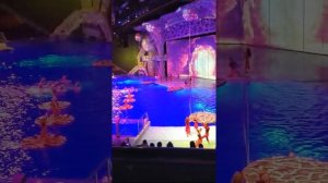 Москвариум шоу _ 9