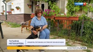 Энтлебухер зенненхунд