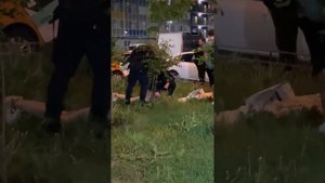 СОЛЕВЬЁ гуляет во время Солевых будней!