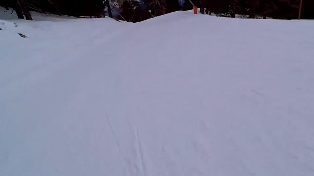 АРХЫЗ   "Романтик"  2018