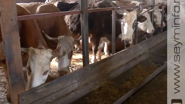 «АГРОпремьера» 27.03.2018 смотреть онлайн