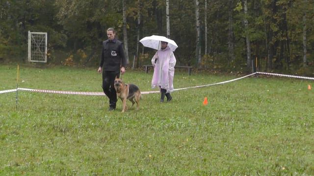 "Кубок Москвы 2013". смотреть онлайн