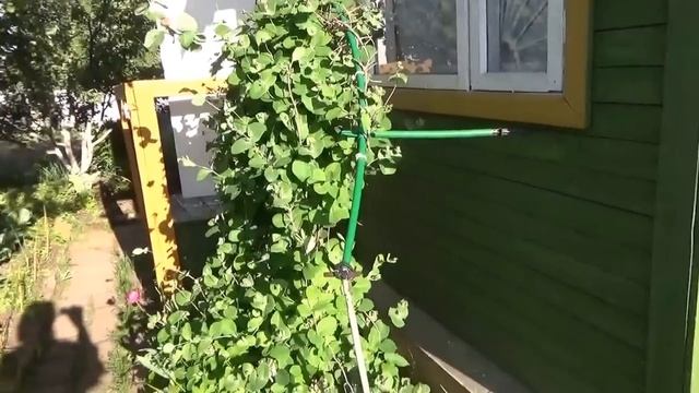 Весеннее пение птиц на даче. смотреть онлайн