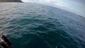 Pesca en kayak (San Juan)(Puerto Rico)(Hobie Outback 2019)