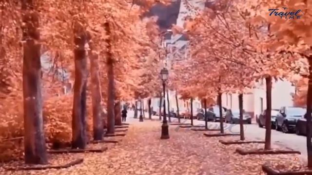 Tourist at Luxembourg park in beautiful autumn season смотреть онлайн