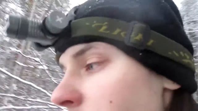 Пришла весна, бобра залило паводком. смотреть онлайн