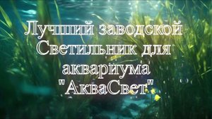 Заводской Российский светильник для аквариума АкваСвет 112 Вт 11700 лм GRW