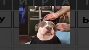 ты НЕ придумаешь пароль за 30 минут.. ? the password game