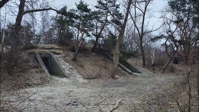 ⛵ Калининград экскурсия смотреть онлайн