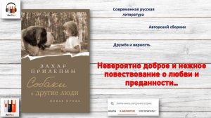 «Большая книга-2024». Взгляните на романы, которые поборются за премию!