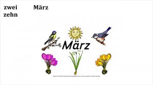 Aussprache Konsonanten T 5  -  Zz   [ts] ( Deutsch A1)