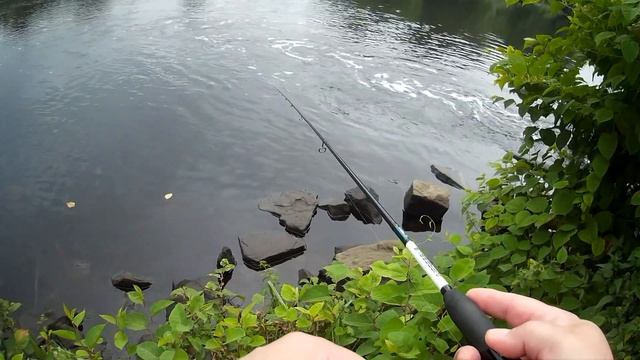 Мормышинг на реке с течением. Силиконовый мотыль Salamandra.Секреты удачной рыбалки. смотреть онлайн