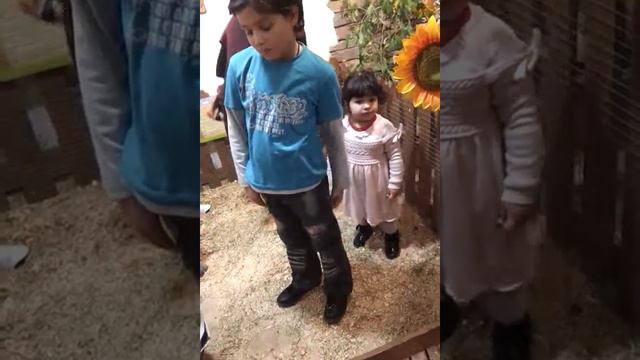 Трогательный ЗОО ПАРК в ростове смотреть онлайн