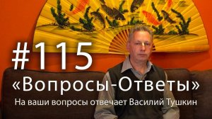 "Вопросы-Ответы", Выпуск #115 - Василий Тушкин отвечает на ваши вопросы
