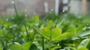 посланник Аллаха Мухаммад мир ему и благословение Аллаха - последний пророк