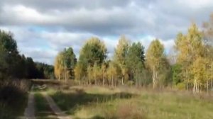 Прекрасен ты осенний лес