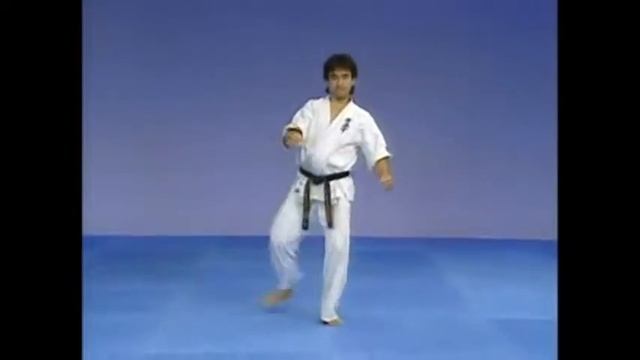Каратэ Киокушинкай: Ката - Сокуги Тайкиоку Соно Сан | Kyokushin Karate:Kata-Sokugi Taikyoku Sono Sa смотреть онлайн