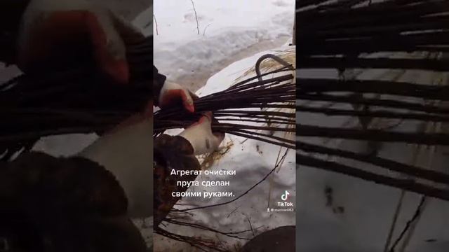 Окаривание прута ивы для плетения корзин