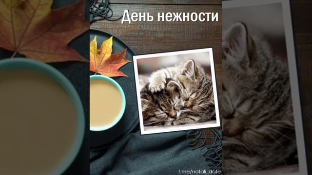 #17октября #календарьпраздников #календарьсобытий #праздник #праздниккаждыйдень #рекомендации