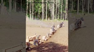 Дореволюционная Россия. В фотографиях Прокудина-Горского. Часть 1.