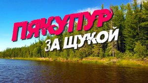 Рыбалка на спиннинг. Пякупур. В поисках щуки.
