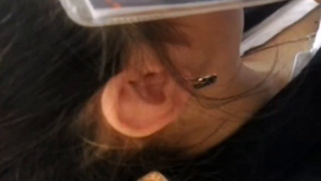 «шевелит ушами» смотреть онлайн