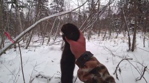 ПОЕЗДКА В ТАЁЖНОЕ ЗИМОВЬЁ, на Suzuki Jimny 2 ЧАСТЬ.