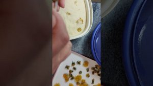 Как сушить одуванчики. 3 способа сушки одуванчиков.Сухоцветы из одуванчиков своими руками.Handmade.