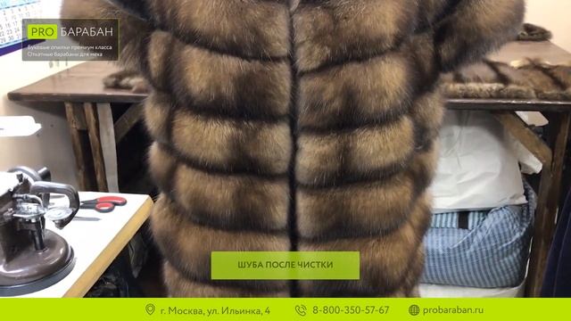 Чистка шубы из соболя в откатном барабане для меха с буковыми опилками