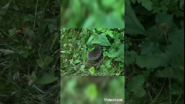 правда или миф 2 смотреть онлайн