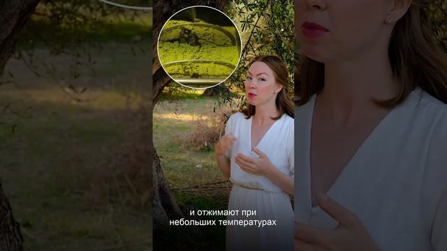 А Вы знали что оливка это фрукт?