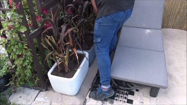 Garden Design (156) Urządzamy RODOS w ogrodzie, plaża, piasek, palmy, drinki, parasol hawajski. смотреть онлайн