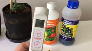 КАК ВЫРАСТИТЬ ПОМИДОРЫ ЧЕРРИ ДОМА - Черри томаты на балконе, кокосовый субстрат + кормление