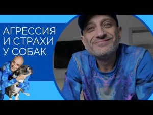 Агрессия и страхи у собак(Вебинар Антуана Наджаряна)