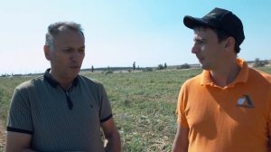 Гибрид лука Кэнди