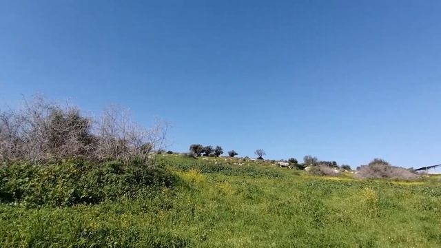 Hiking in Mt. GILBOA and MT. SHAUL / Trip to GIDONA ,AFULA Part 2 смотреть онлайн