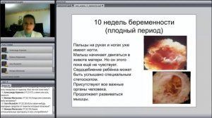 Первый триместр беременности