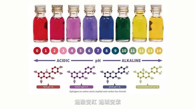 想做出粉粉的寿司姜吗那你一定要看看这个了How to make Pink Sushi Ginger丨曼食慢语