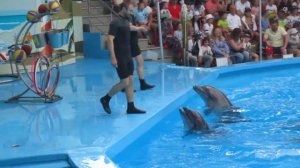 Сочи Парк. Дельфинарий. (1 июня 2022 г.)