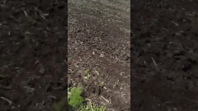 дискую солончак на т 150