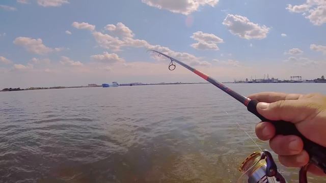 Обзор-Тест Zetrix HellHound 842XH до 90 грамм. Проверка на мощном течении Волги. смотреть онлайн