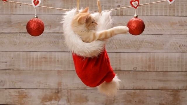 BEAUTIFUL CHRISTMAS MUSIC 2024: Top Christmas Songs of All Time for Study, Relaxation And Sleep смотреть онлайн