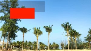 ВЬЕТНАМ ФУКУОК В ОКТЯБРЕ ПОГОДА 14.10 МОРЕ И ПРИРОДА