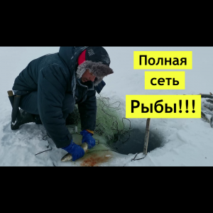 Полная сеть рыбы!.mp4