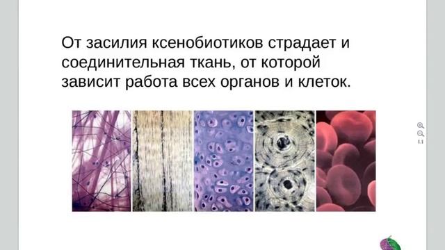 ?Организм Человека Чистить или не Чистить?|?Organizm Cheloveka. Chistit' ili ne Chistit'?
